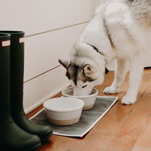 Farmhouse Pottery Farm Medium Dog Bowl